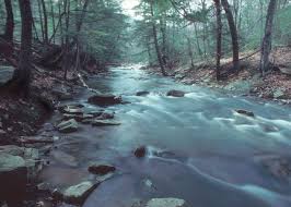 fly fishing
