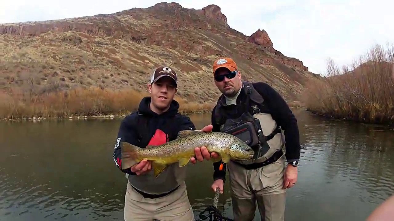 Owyhee River Trout Lie