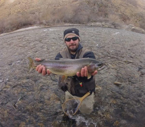 rainbow trout from Boise River